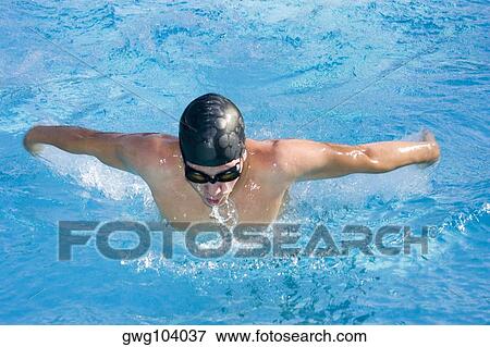 Young man swimming the butterfly stroke in a swimming pool View Large Photo Image Stock Photo - Young man swimming the butterfly stroke in a swimming pool. Fotosearch