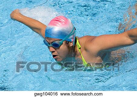 Young woman swimming the butterfly stroke in a swimming pool View Large Photo Image Stock Photograph - Young woman swimming the butterfly stroke in a swimming pool. Fotosearch