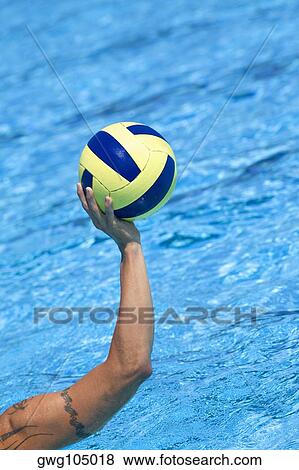 Close-up of a person's hand holding a water polo ball in a swimming pool View Large Photo Image Stock Photo - Close-up of a person's hand holding a water polo ball in a swimming pool. Fotosearch