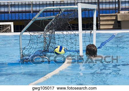 Man playing water polo in a swimming pool View Large Photo Image Stock Photo - Man playing water polo in a swimming pool. Fotosearch