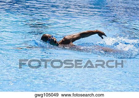 Mid adult man swimming in a swimming pool View Large Photo Image Stock Photo - Mid adult man swimming in a swimming pool. Fotosearch