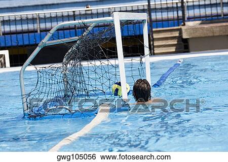 Rear view of a man playing water polo in a swimming pool View Large Photo Image Stock Photograph - Rear view of a man playing water polo in a swimming pool. Fotosearch