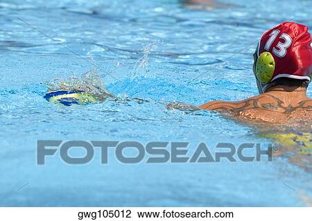Rear view of a mid adult man playing water polo in a swimming pool View Large Photo Image Stock Image - Rear view of a mid adult man playing water polo in a swimming pool. Fotosearch
