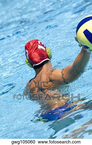Rear view of a mid adult man playing water polo in a swimming pool View Large Photo Image Stock Image - Rear view of a mid adult man playing water polo in a swimming pool. Fotosearch