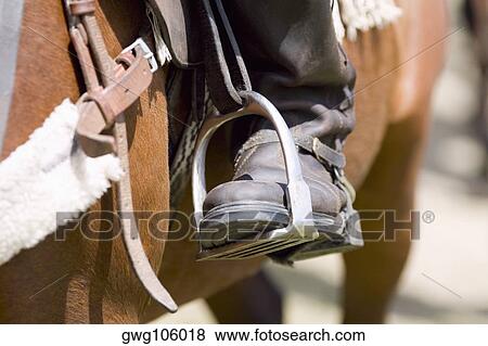 Close-up of a person's leg in a stirrup View Large Photo Image Stock Photo - Close-up of a person's leg in a stirrup. Fotosearch