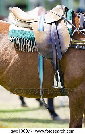 Close-up of a saddle on a horse View Large Photo Image Stock Photo - Close-up of a saddle on a horse. Fotosearch