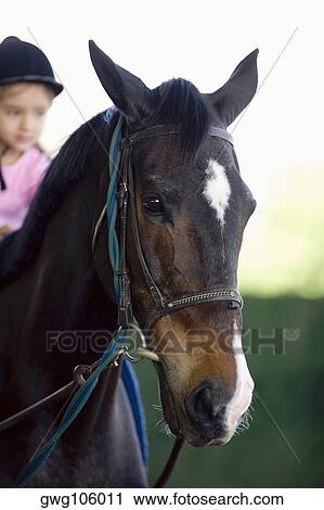 Girl riding a horse View Large Photo Image Stock Image - Girl riding a horse. Fotosearch