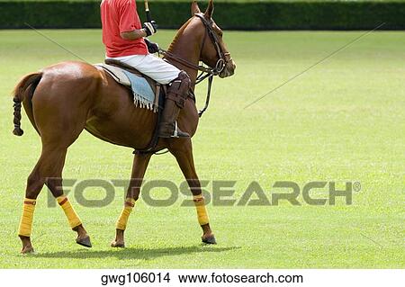 Picture - Low section view of a man playing polo. Fotosearch