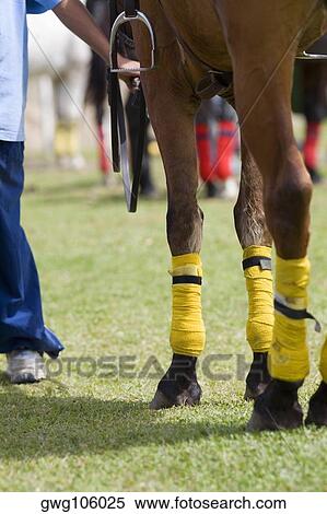 Low section view of a man standing with a horse View Large Photo Image Stock Photography - Low section view of a man standing with a horse. Fotosearch