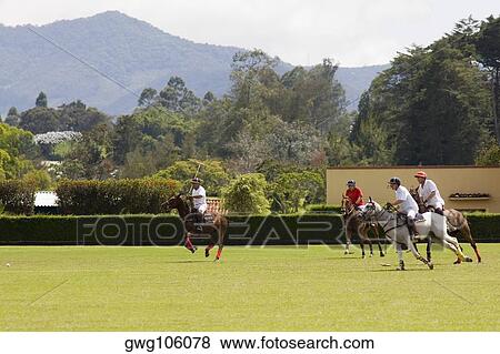 Polo players playing a polo match View Large Photo Image Stock Photo - Polo players playing a polo match. Fotosearch