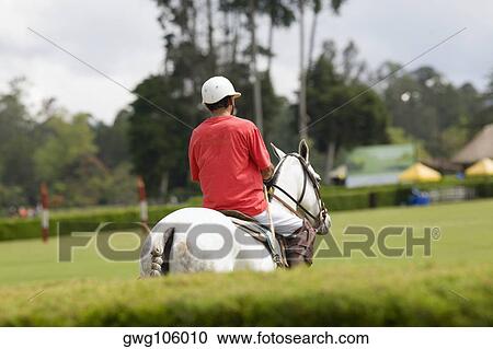 Rear view of a man playing polo View Large Photo Image Stock Image - Rear view of a man playing polo. Fotosearch