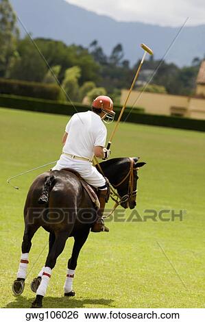 Stock Photograph - Rear view of a man playing polo. Fotosearch