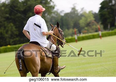 Rear view of a man playing polo View Large Photo Image Stock Photography - Rear view of a man playing polo. Fotosearch