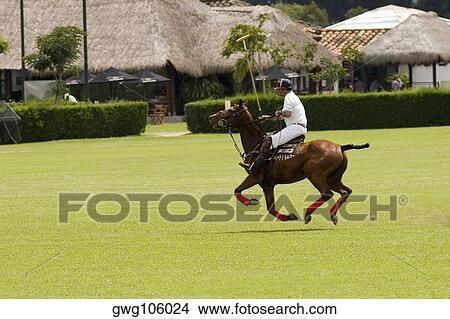 Picture - Side profile of a man playing polo. Fotosearch