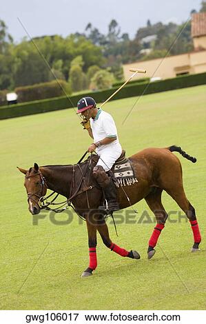 Stock Photo - Side profile of a mature man playing polo. Fotosearch