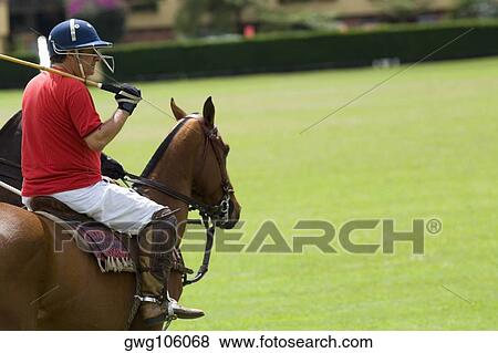 Stock Photo - Side profile of a mature man playing polo. Fotosearch