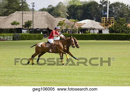 Two polo players playing polo View Large Photo Image Stock Photography - Two polo players playing polo. Fotosearch