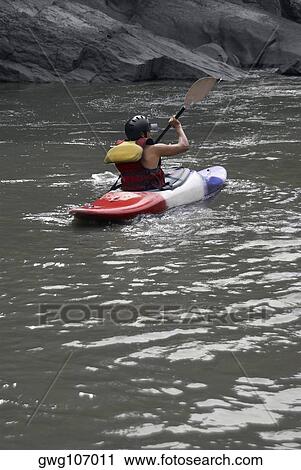 Rear view of a person kayaking in a river View Large Photo Image Stock Image - Rear view of a person kayaking in a river. Fotosearch