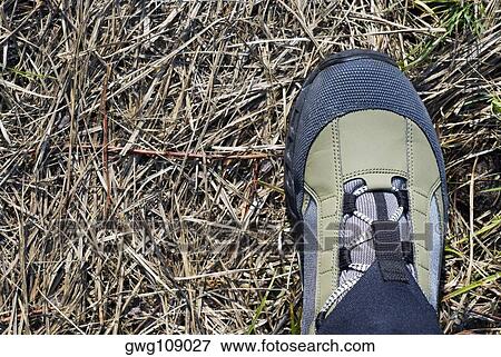Close-up of a sports shoe View Large Photo Image Stock Photo - Close-up of a sports shoe. Fotosearch