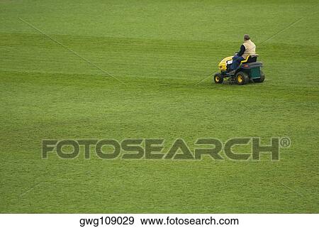 Rear view of a man sitting on a lawn mower View Large Photo Image Stock Photo - Rear view of a man sitting on a lawn mower. Fotosearch