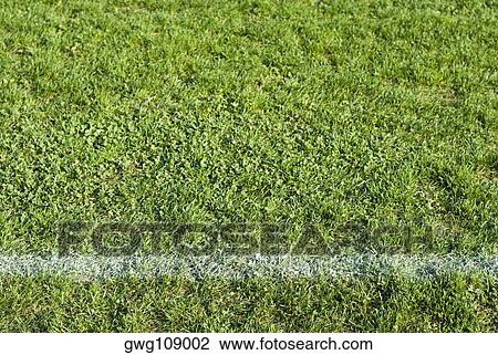 White painted line on a football pitch View Large Photo Image Stock Image - White painted line on a football pitch. Fotosearch