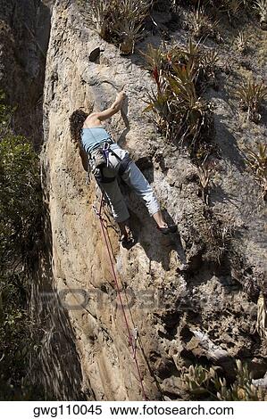 Low angle view of a female rock climber scaling a rock face View Large Photo Image Stock Photography - Low angle view of a female rock climber scaling a rock face. Fotosearch