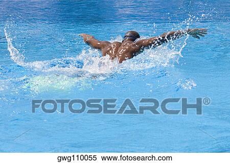 Rear view of a mid adult man swimming the butterfly stroke in a swimming pool View Large Photo Image Stock Photography - Rear view of a mid adult man swimming the butterfly stroke in a swimming pool. Fotosearch