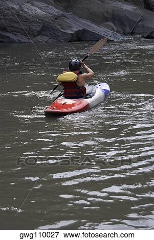 Rear view of a person kayaking in a river View Large Photo Image Stock Photo - Rear view of a person kayaking in a river. Fotosearch