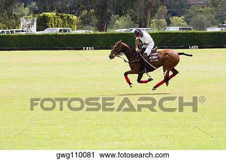 Side profile of a man playing polo View Large Photo Image Stock Image - Side profile of a man playing polo. Fotosearch