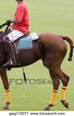 Side profile of a man playing polo View Large Photo Image Stock Photo - Side profile of a man playing polo. Fotosearch