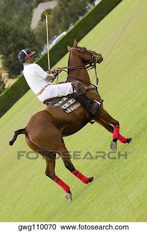 Stock Image - Side profile of a mature man playing polo. Fotosearch