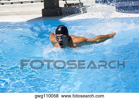 Young man swimming the butterfly stroke in a swimming pool View Large Photo Image Stock Photo - Young man swimming the butterfly stroke in a swimming pool. Fotosearch