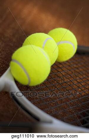 Close-up of three tennis balls on a tennis racket View Large Photo Image Stock Image - Close-up of three tennis balls on a tennis racket. Fotosearch