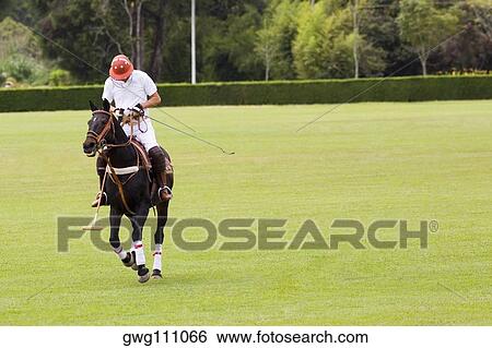 Man playing polo View Large Photo Image Stock Photograph - Man playing polo. Fotosearch