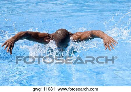 Mid adult man swimming in a swimming pool View Large Photo Image Stock Image - Mid adult man swimming in a swimming pool. Fotosearch