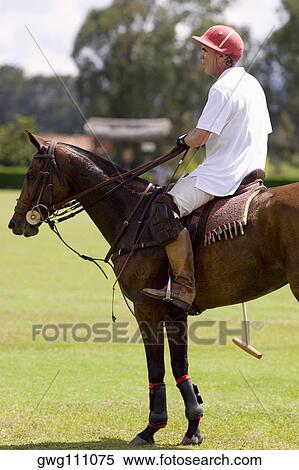 Stock Photography - Side profile of a senior man playing polo. Fotosearch