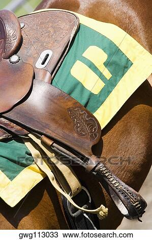 Close-up of a saddle on a horse View Large Photo Image Stock Image - Close-up of a saddle on a horse. Fotosearch