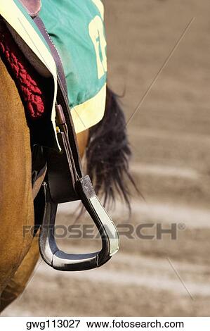 Stock Photo - Close-up of a stirrup on a horse. Fotosearch