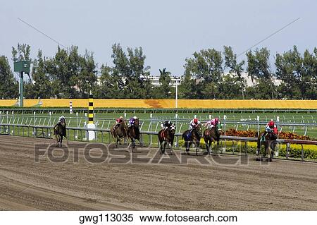 Group of jockeys riding horses in a horse race View Large Photo Image Stock Photography - Group of jockeys riding horses in a horse race. Fotosearch
