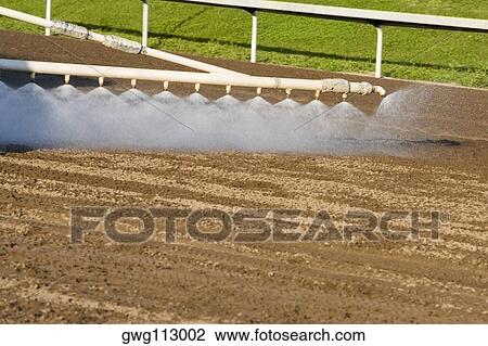 Horseracing track being sprayed with water View Large Photo Image Stock Image - Horseracing track being sprayed with water. Fotosearch