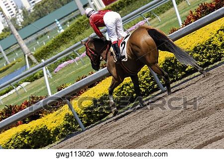 Jockey riding a horse in a horse race View Large Photo Image Stock Image - Jockey riding a horse in a horse race. Fotosearch