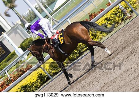 Jockey riding a horse in a horse race View Large Photo Image Stock Photo - Jockey riding a horse in a horse race. Fotosearch
