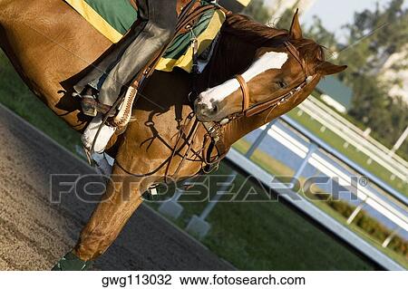 Low section view of a jockey riding a racehorse View Large Photo Image Stock Image - Low section view of a jockey riding a racehorse. Fotosearch
