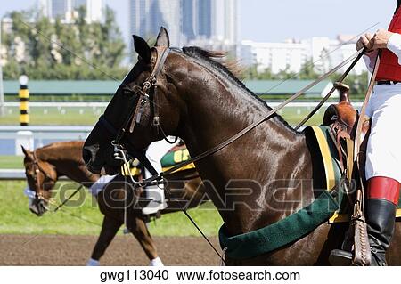 Low section view of two jockeys riding horses in a horse race View Large Photo Image Stock Image - Low section view of two jockeys riding horses in a horse race. Fotosearch