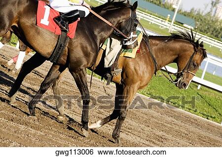 Low section view of two jockeys riding horses on a horseracing track View Large Photo Image Stock Photograph - Low section view of two jockeys riding horses on a horseracing track. Fotosearch
