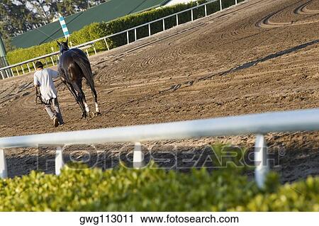 Rear view of a man walking with a racehorse on a horseracing track View Large Photo Image Stock Image - Rear view of a man walking with a racehorse on a horseracing track. Fotosearch