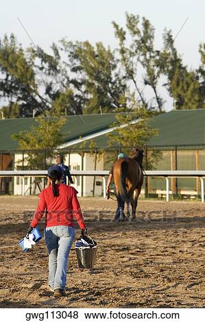 Rear view of a woman carrying a bucket and walking towards a racehorse View Large Photo Image Stock Photo - Rear view of a woman carrying a bucket and walking towards a racehorse. Fotosearch