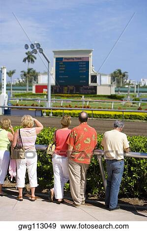 Rear view of spectators standing near the horseracing track View Large Photo Image Stock Photo - Rear view of spectators standing near the horseracing track. Fotosearch