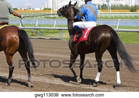 Rear view of two jockeys riding racehorses View Large Photo Image Stock Photo - Rear view of two jockeys riding racehorses. Fotosearch