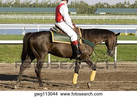 Side profile of a jockey riding a horse on a horseracing track View Large Photo Image Picture - Side profile of a jockey riding a horse on a horseracing track. Fotosearch